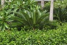 Pinerytropical-landscaping-4.jpg; ?>